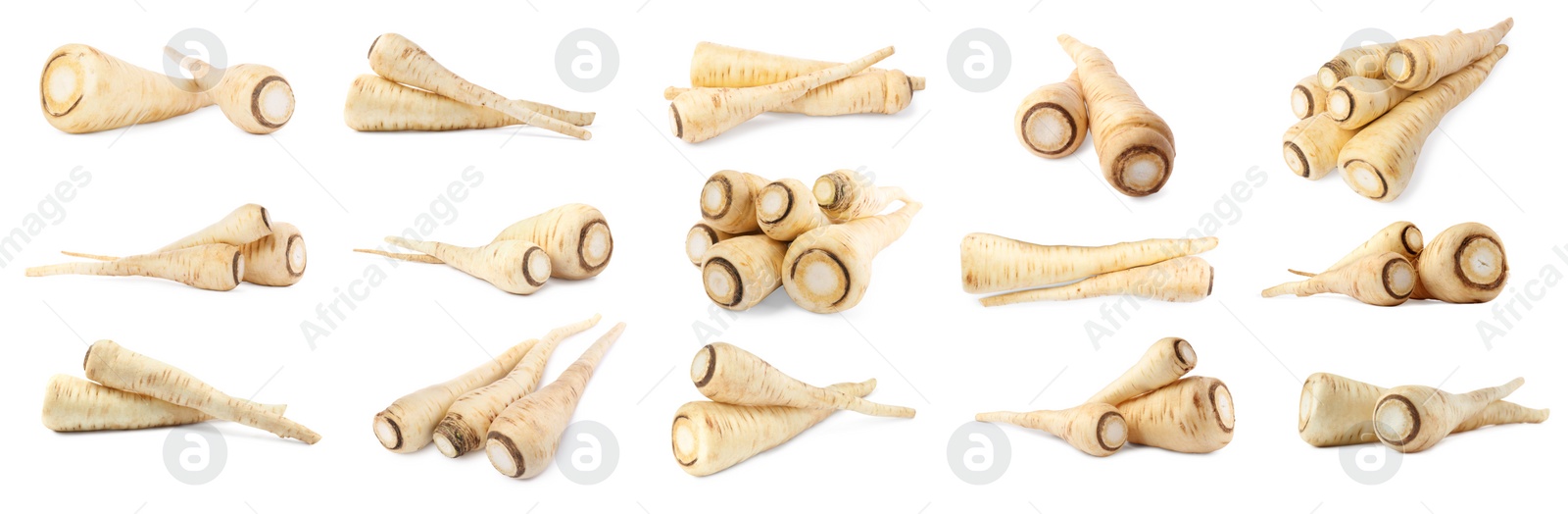 Image of Collage with fresh parsnips on white background