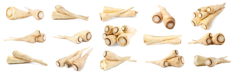 Collage with fresh parsnips on white background