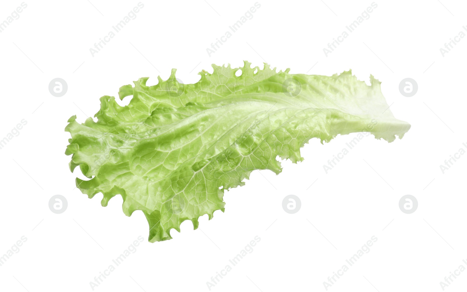 Photo of Fresh green lettuce leaf isolated on white