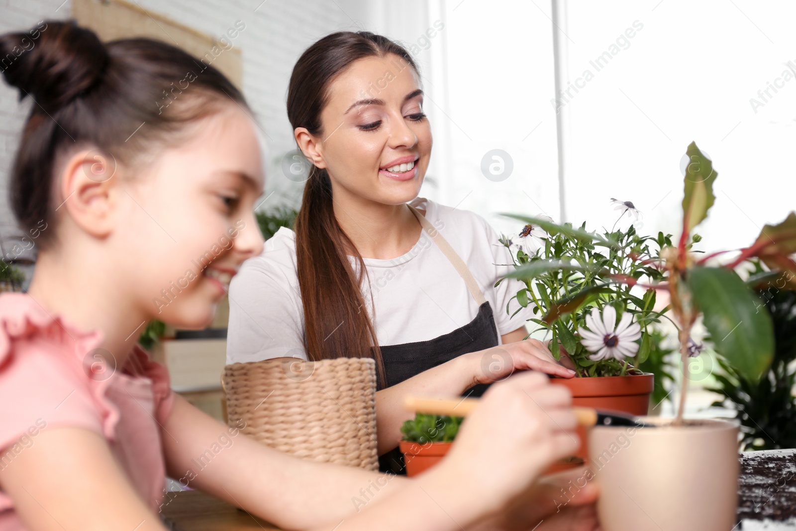 Photo of Mother and daughter taking care of potted plants at home