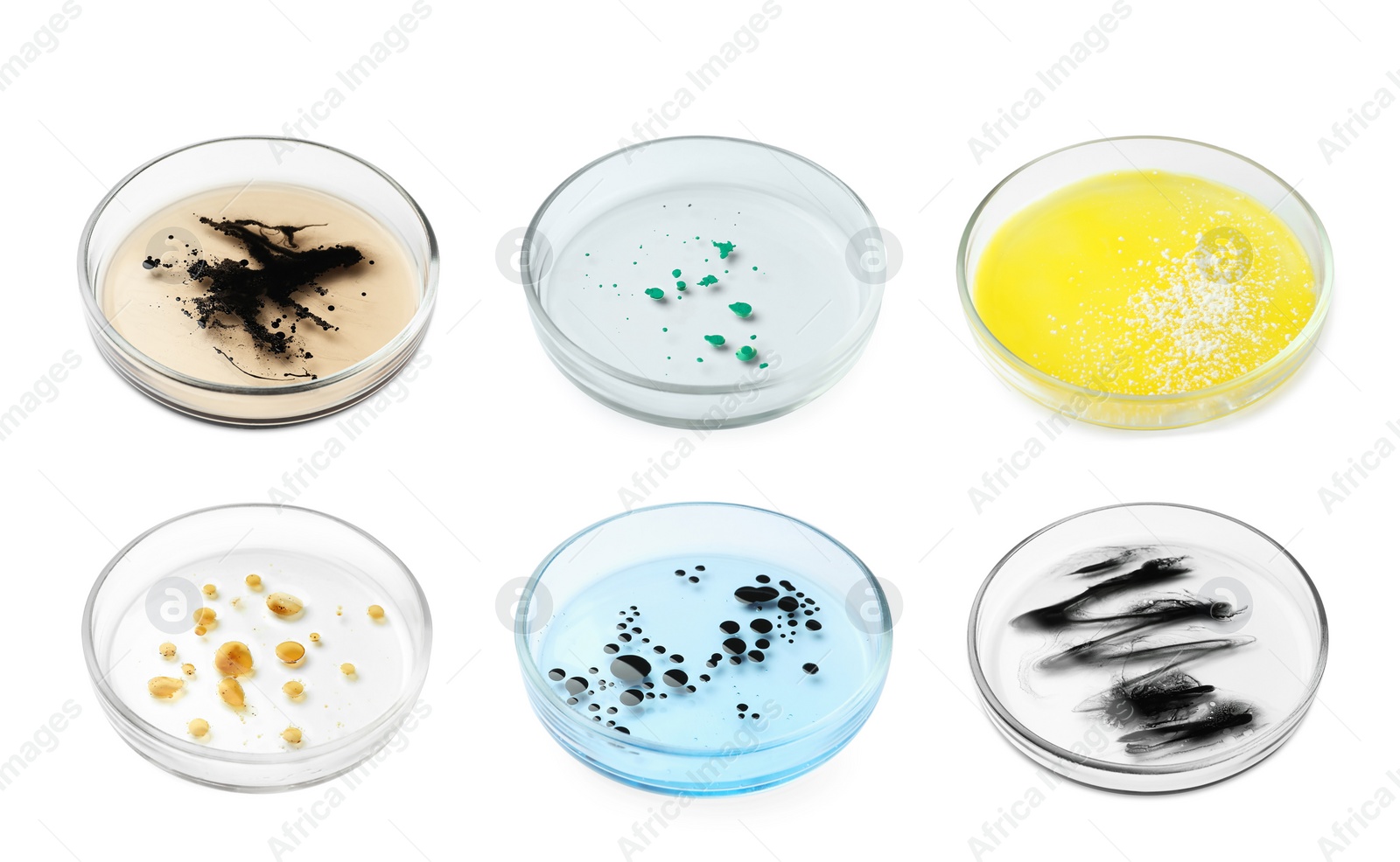 Image of Set of Petri dishes with different bacteria culture on white background