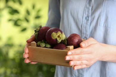 Photo of Woman holding delicious ripe mangosteen fruits outdoors, closeup