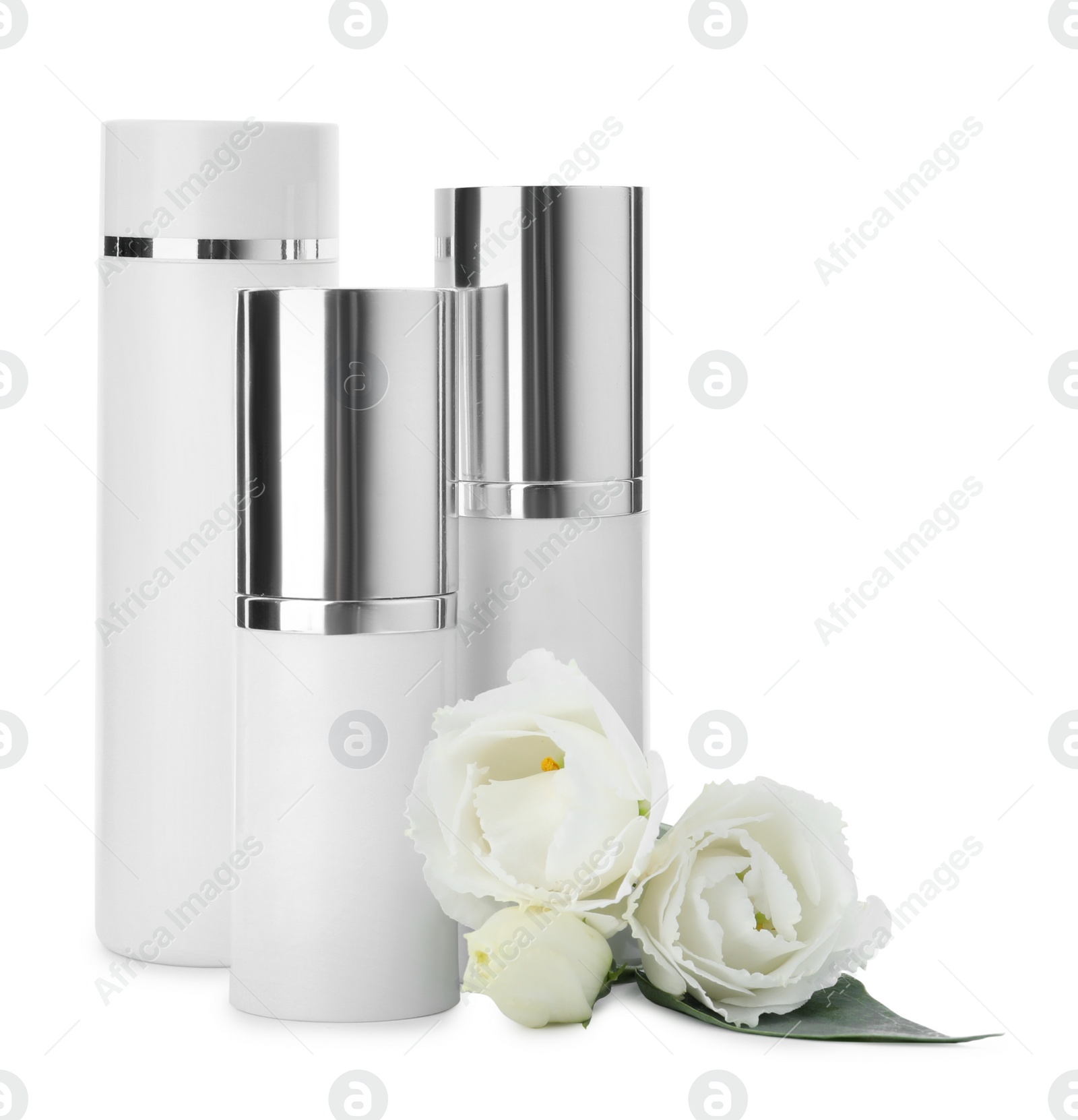 Photo of Different cosmetic products and fresh flowers on white background