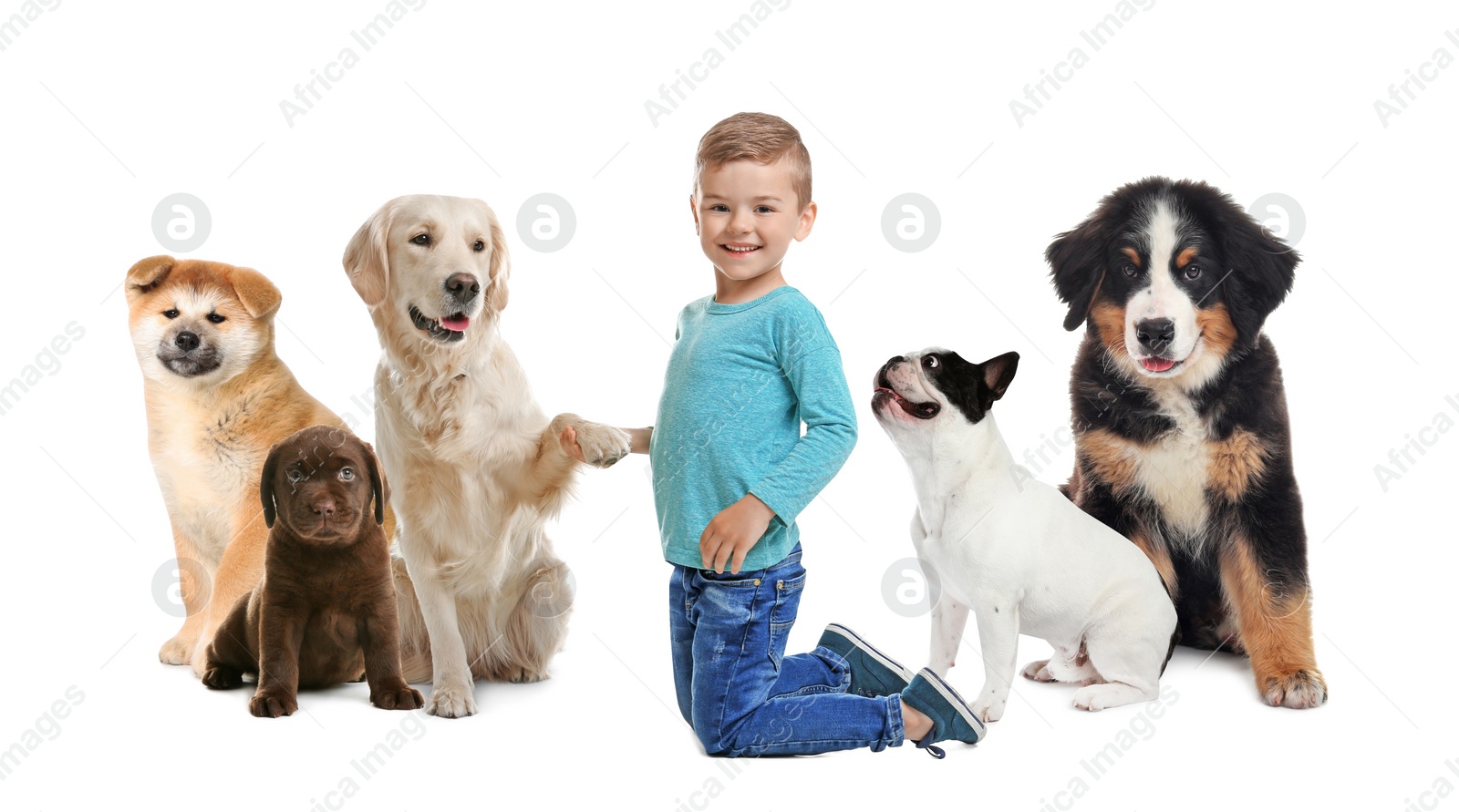 Image of Cute little child with his pets on white background. Banner design