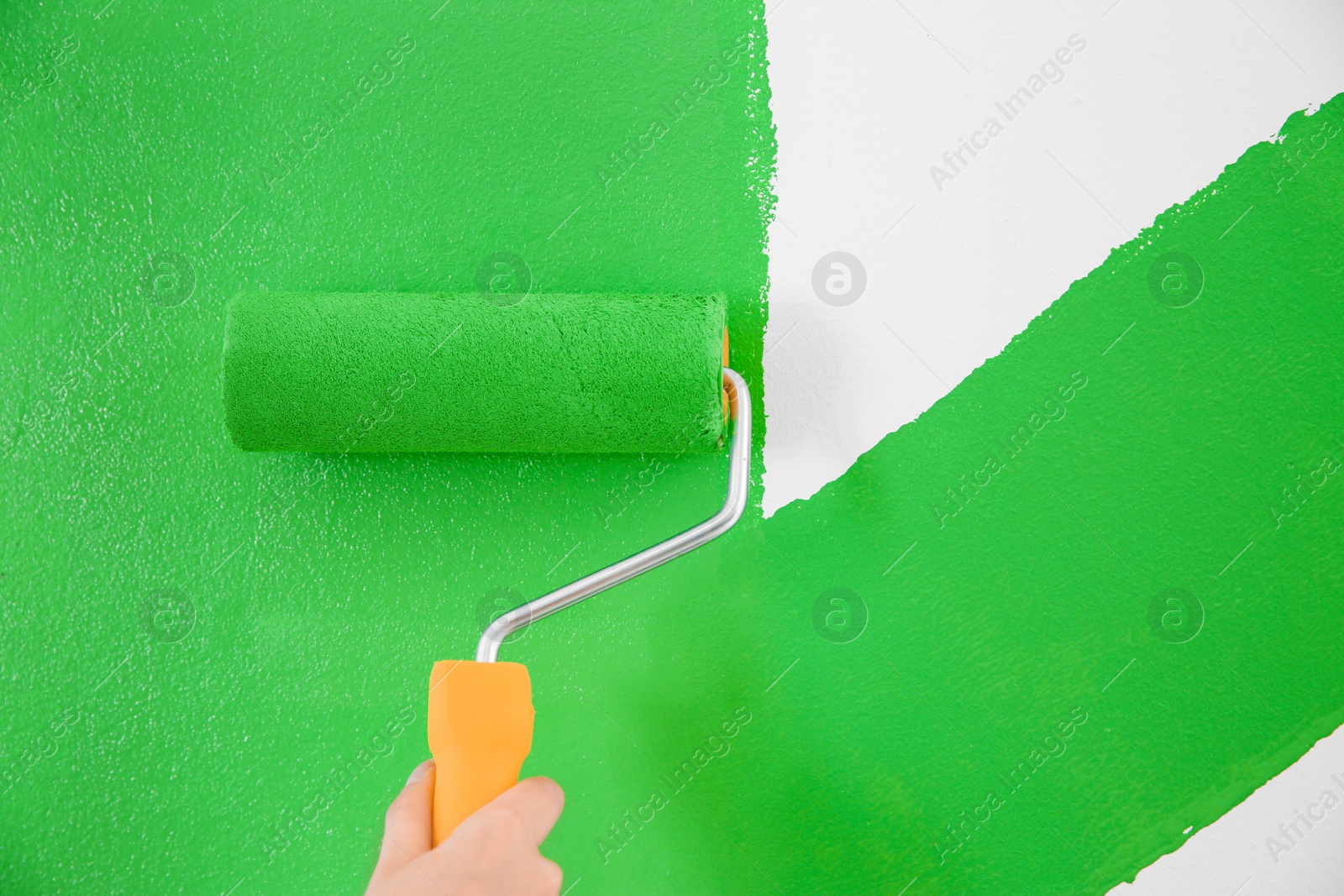 Photo of Woman painting white wall with green dye, closeup. Interior renovation