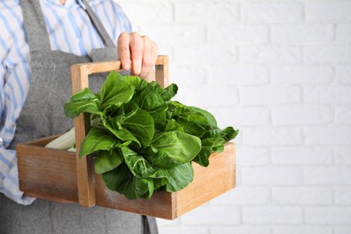 Woman holding wooden crate with bok choy cabbage near white brick wall, closeup. Space for text