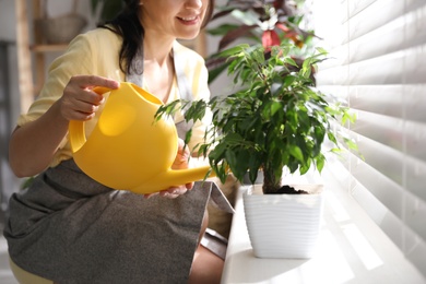 Photo of Woman watering plant on windowsill at home, closeup. Engaging hobby