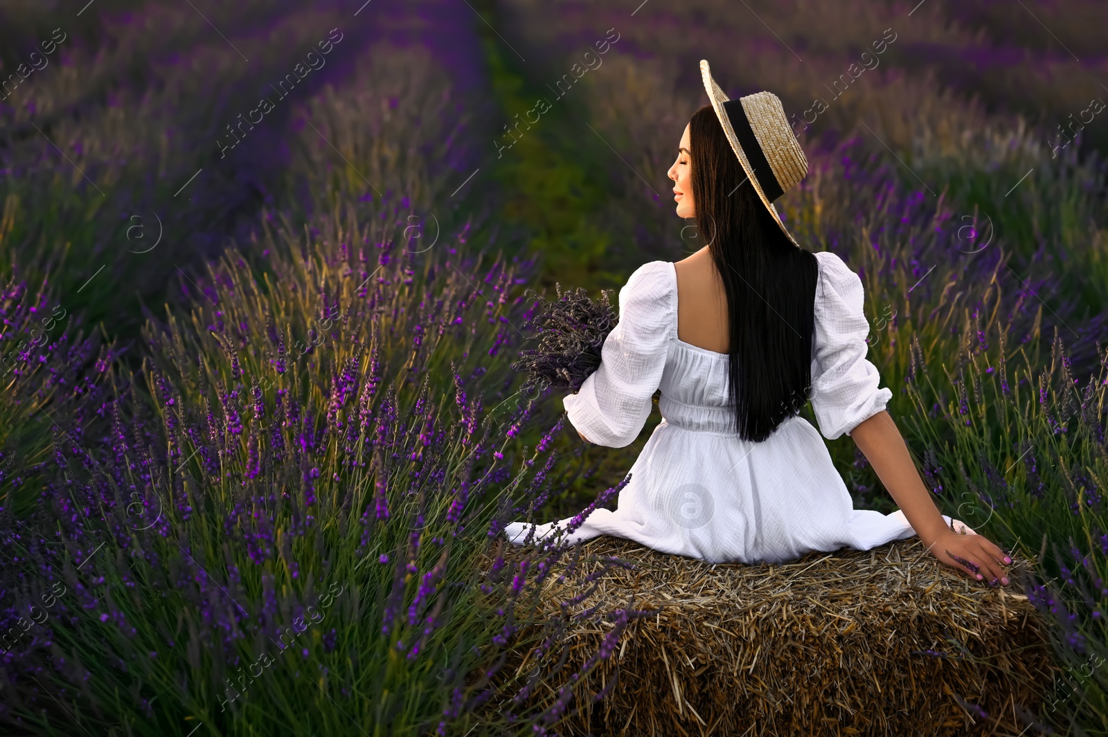 Photo of Woman sitting on hay bale in lavender field, back view