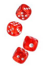 Four red dice in air on white background