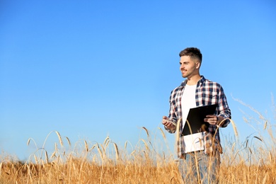 Photo of Agronomist with clipboard in wheat field, space for text. Cereal grain crop