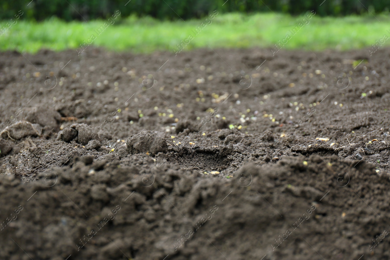 Photo of Textured ground surface as background, closeup. Fertile soil for farming and gardening