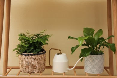 Photo of Beautiful fresh potted ferns and watering can on wooden shelf