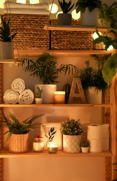 Photo of Wooden shelving unit with green plants and different accessories indoors. Interior design