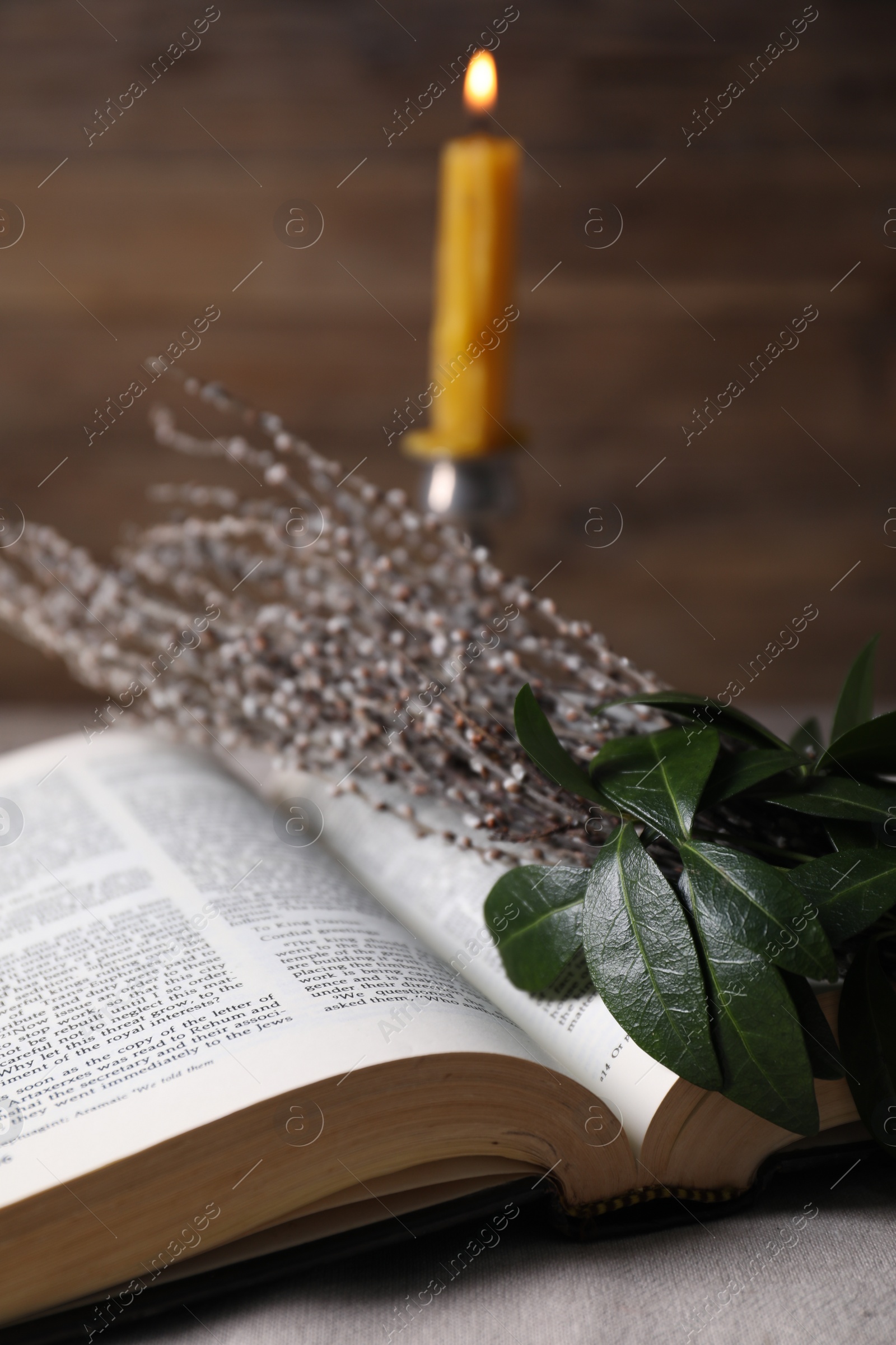 Photo of Bible and willow branches on table, closeup