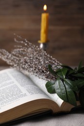 Photo of Bible and willow branches on table, closeup