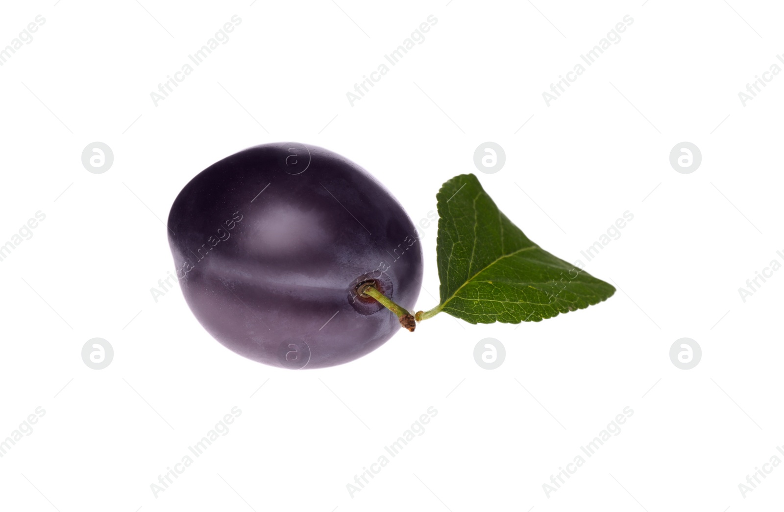 Photo of Delicious ripe plum with leaf isolated on white