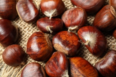 Photo of Fresh sweet edible chestnuts on sackcloth, closeup