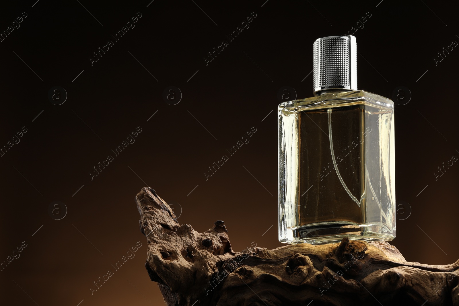 Photo of Luxury men`s perfume in bottle against brown background, space for text