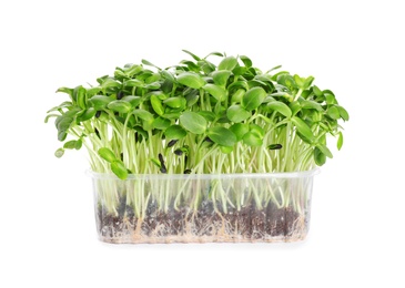 Fresh organic microgreen in plastic container on white background