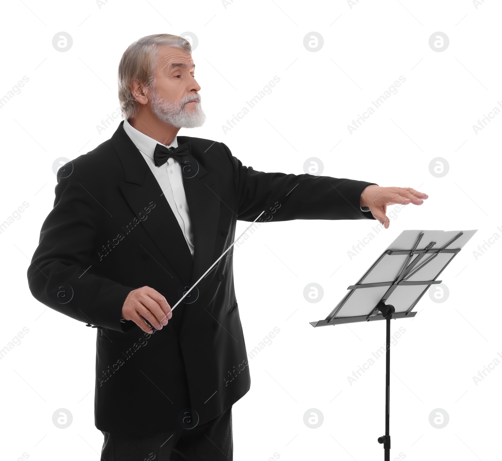 Photo of Professional conductor with baton and note stand on white background