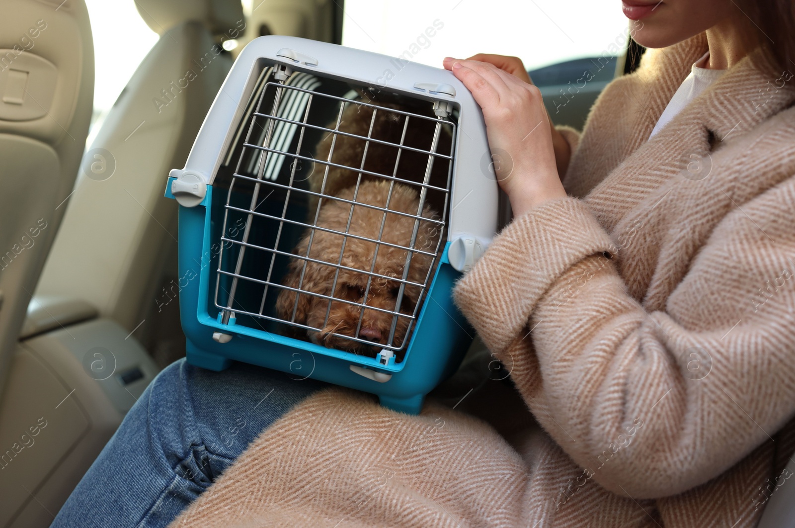 Photo of Woman with pet carrier travelling with dog her by car, closeup