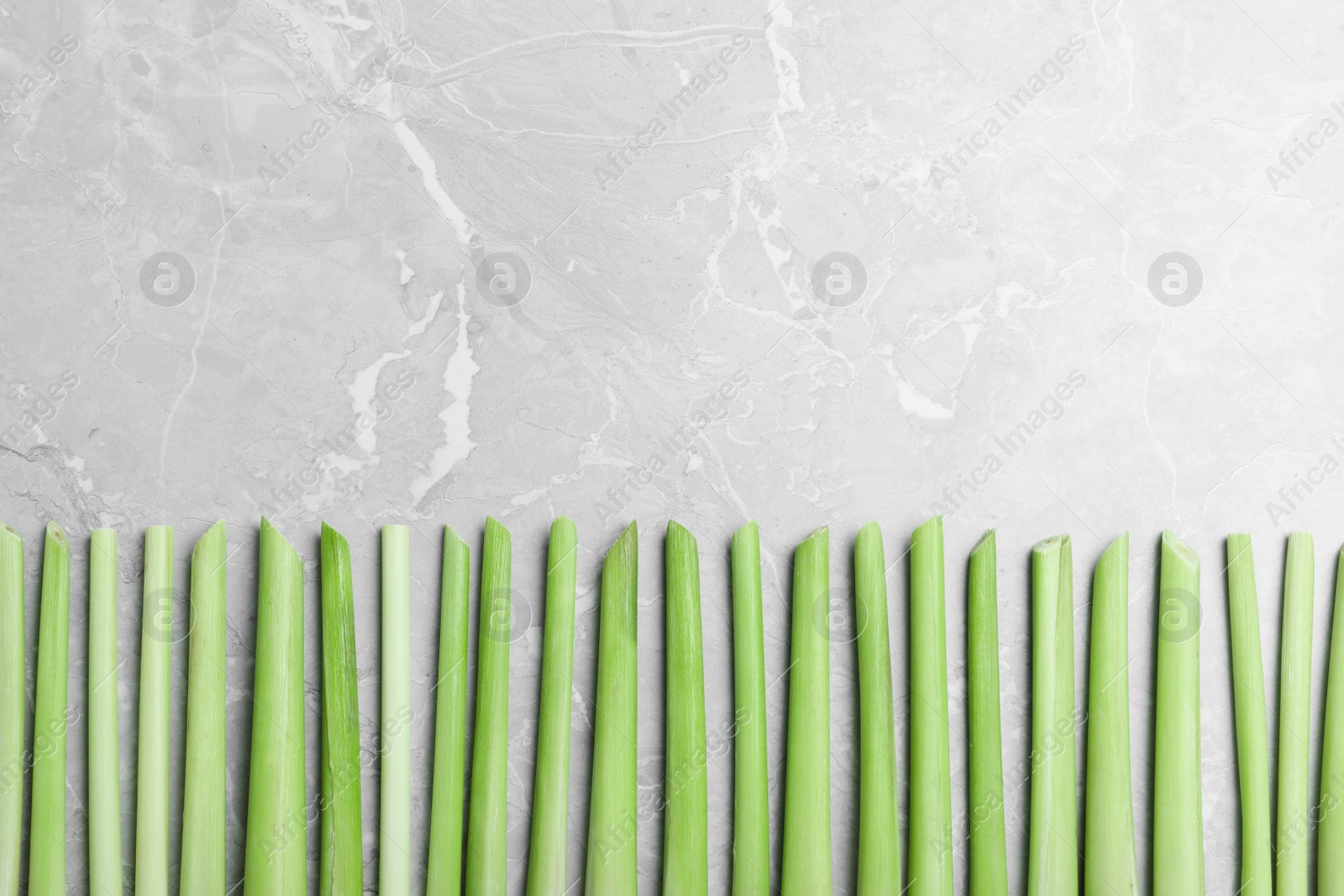 Photo of Fresh lemongrass stalks on light grey marble table, flat lay. Space for text