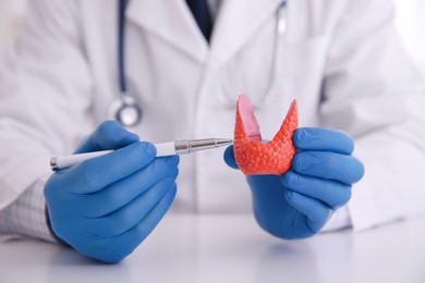 Photo of Doctor showing thyroid gland model at table, closeup
