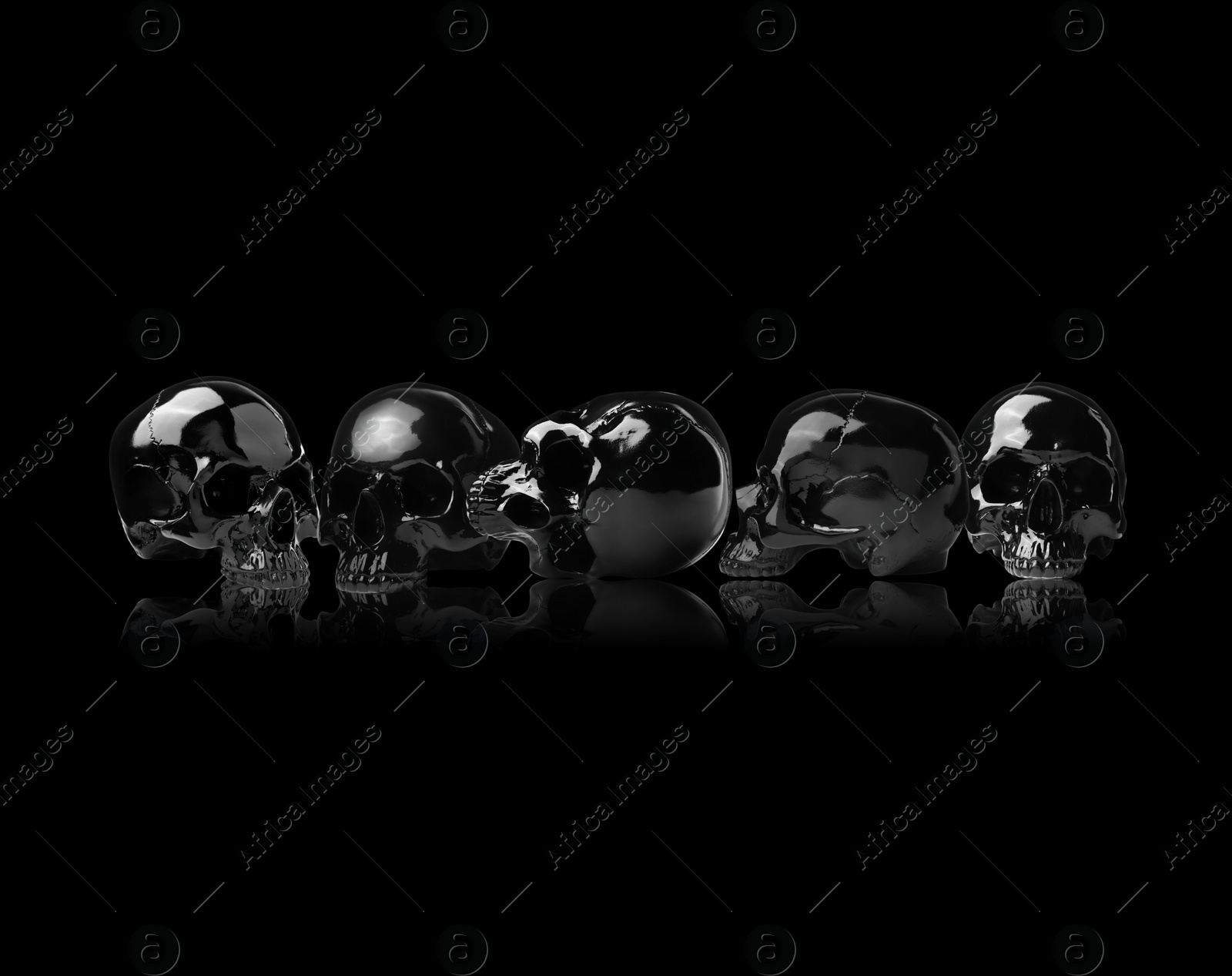 Image of Shiny human skulls on black background. Collage design