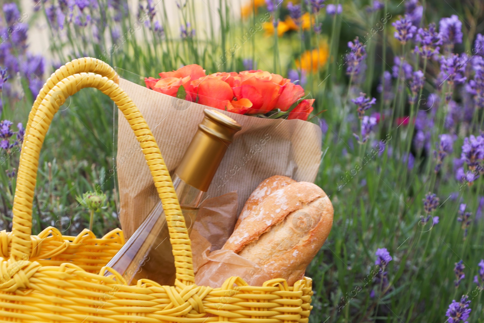 Photo of Yellow wicker bag with beautiful roses, bottle of wine and baguettes in garden, closeup