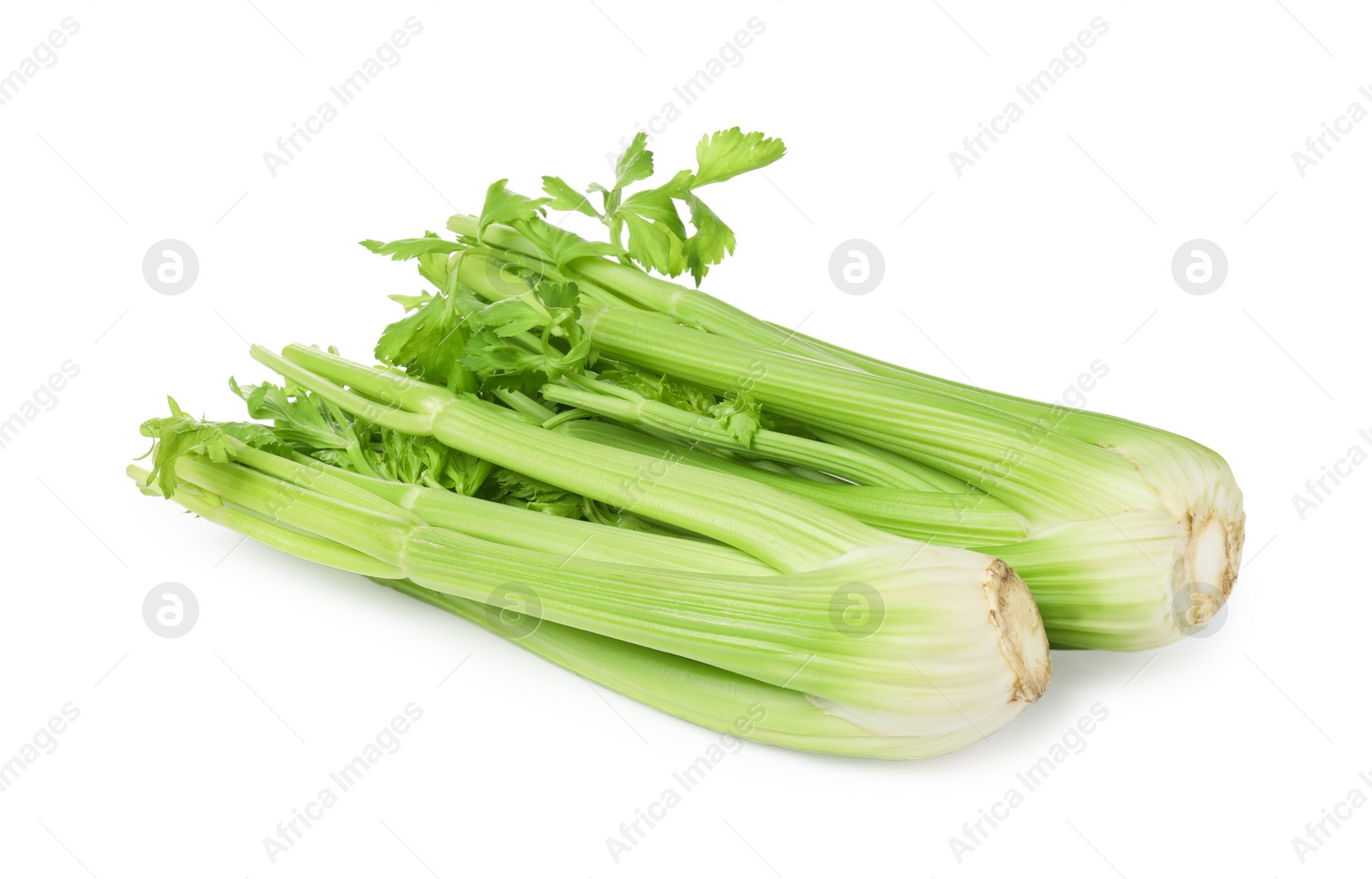 Photo of Fresh green celery bunches isolated on white