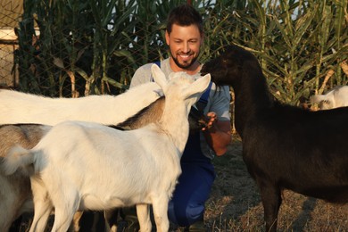 Man with goats at farm. Animal husbandry