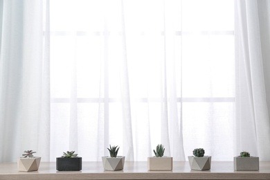 Photo of Different plants in pots on window sill, space for text. Home decor