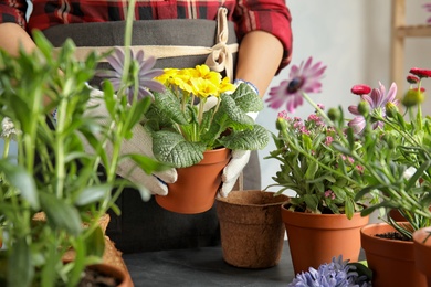 Photo of Woman taking care of flowers indoors, closeup. Home gardening