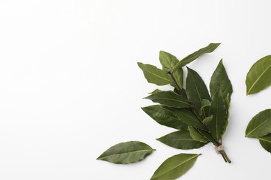Photo of Aromatic fresh bay leaves on white background, flat lay. Space for text