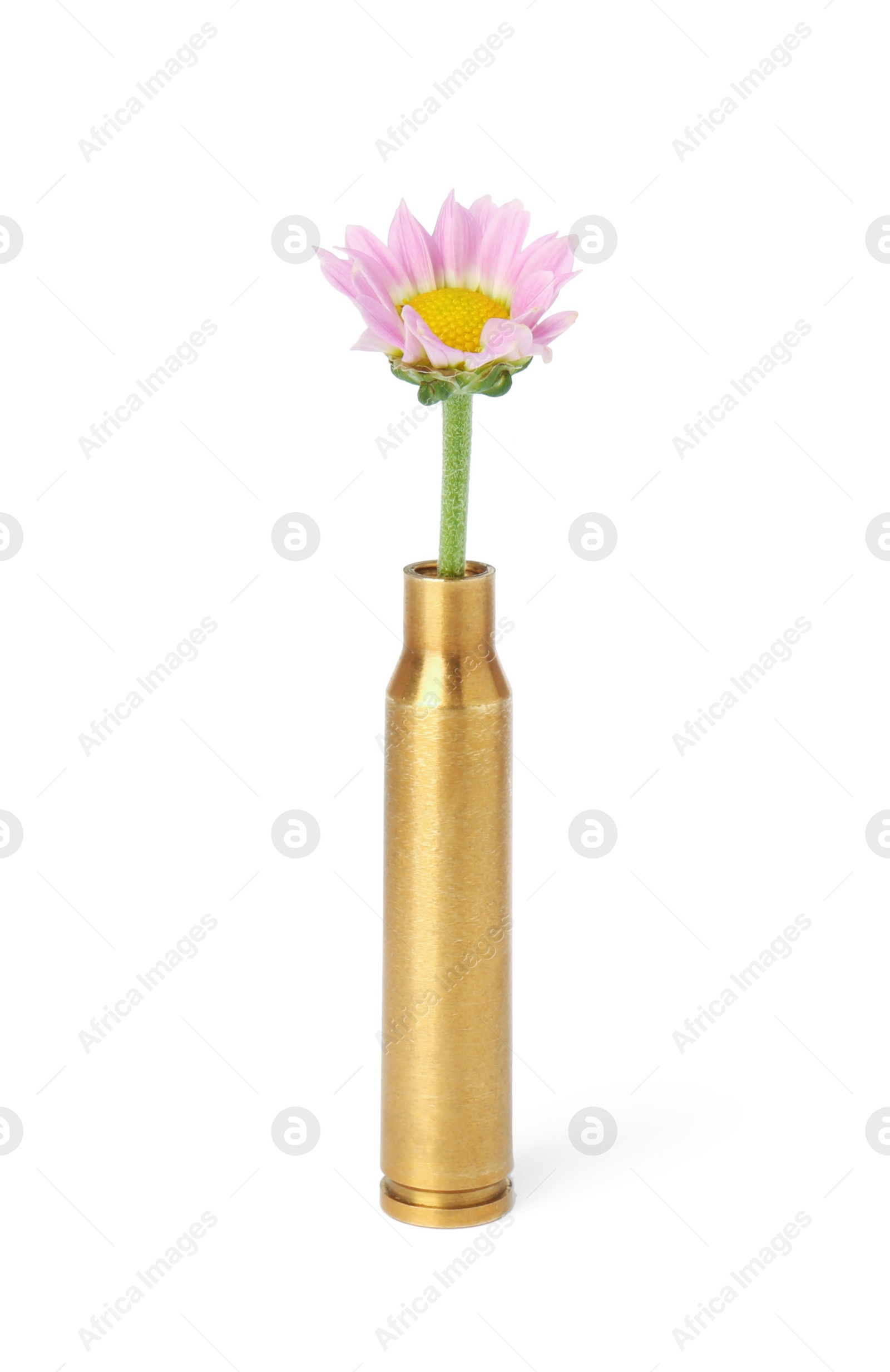 Photo of Beautiful flower in bullet case isolated on white