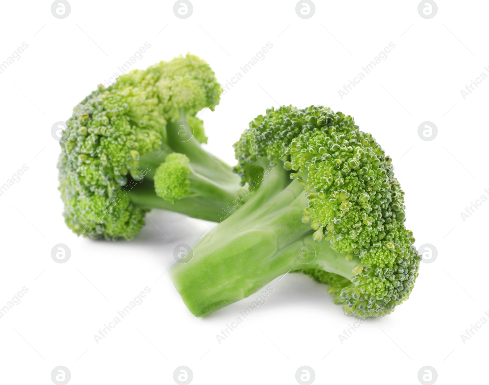 Photo of Fresh green broccoli on white background. Organic food