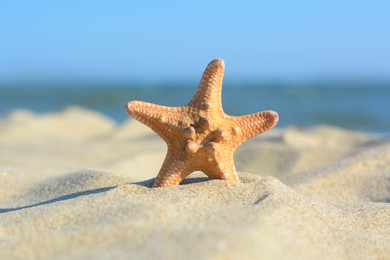 Photo of Beautiful exotic starfish on sandy beach near sea, closeup