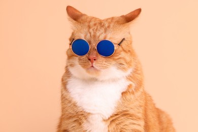 Portrait of cute ginger cat in stylish sunglasses on beige background