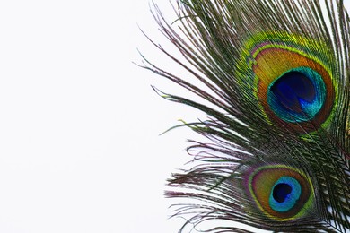 Photo of Beautiful bright peacock feathers on white background, top view