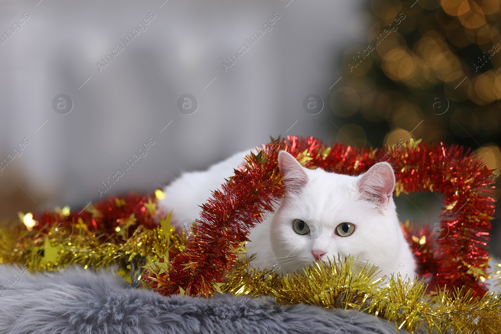 Photo of Cute cat with Christmas tinsel lying on fur rug in cosy room. Space for text