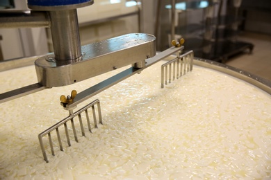 Photo of Curd and whey in tank at cheese factory, closeup