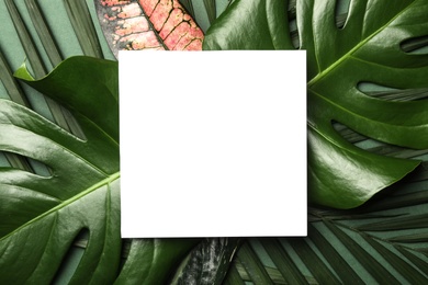 Blank card on tropical leaves, top view