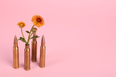 Photo of Bullets and beautiful chrysanthemum flowers on pink background, space for text