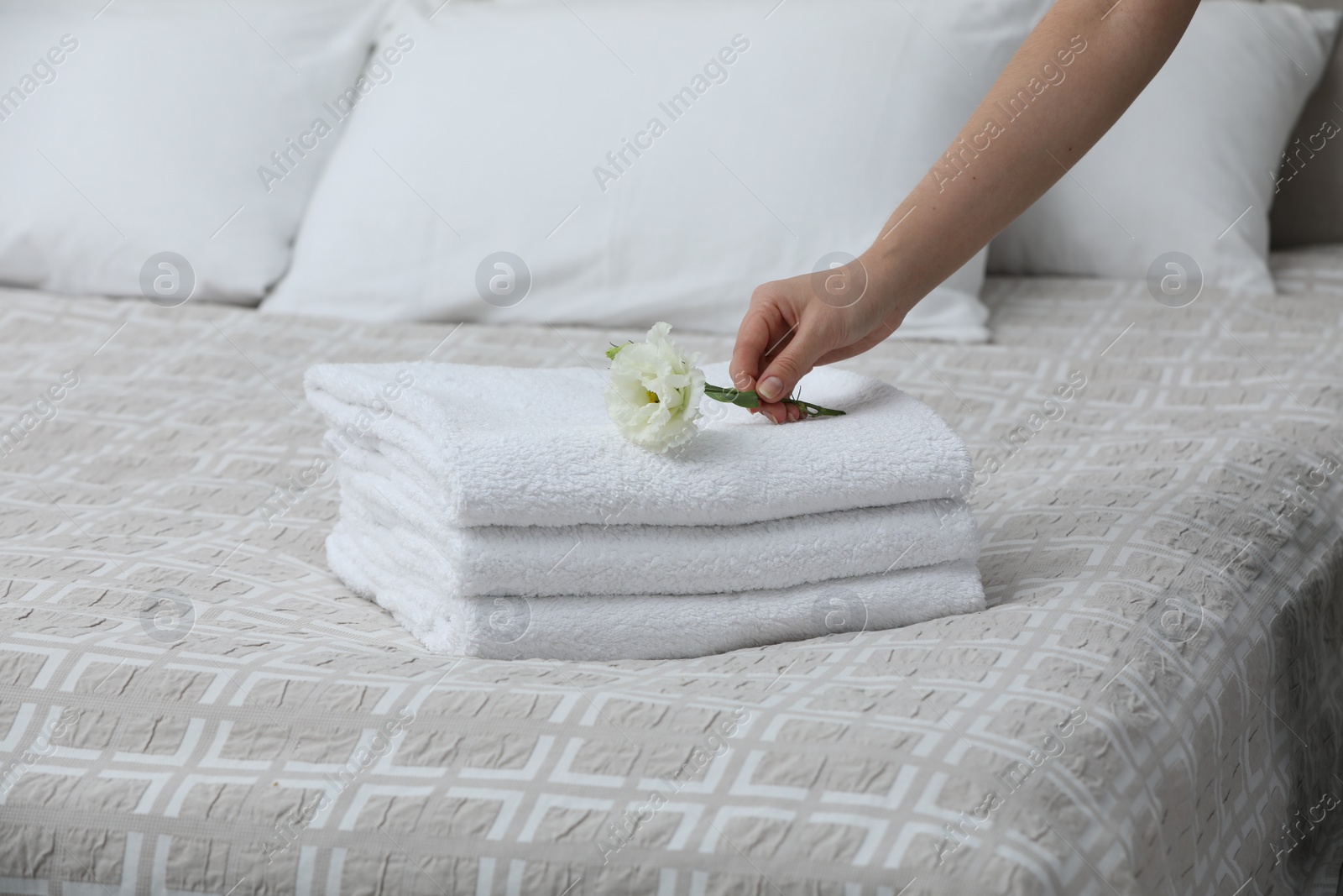 Photo of Woman putting Eustoma flower on folded towels in bedroom, closeup