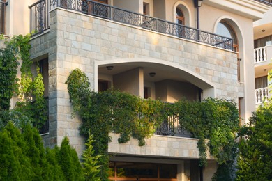 Photo of Balcony decorated with beautiful green plants. Stylish exterior