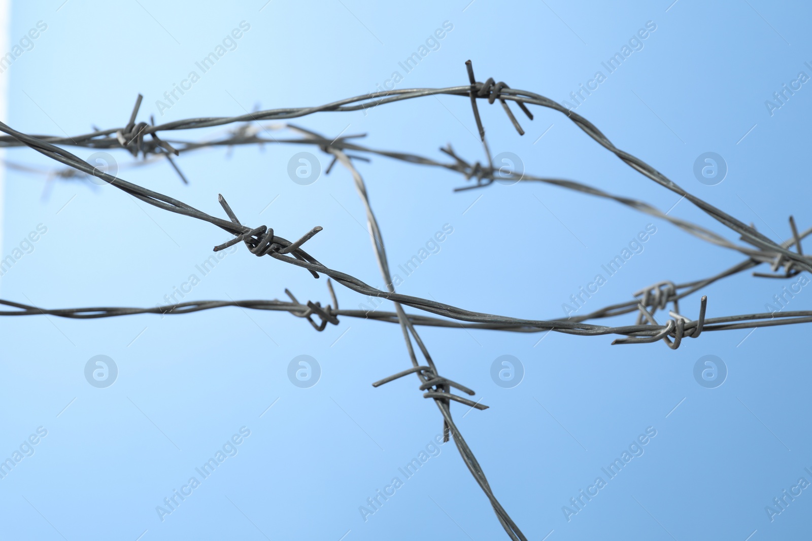 Photo of Metal barbed wire on light blue background