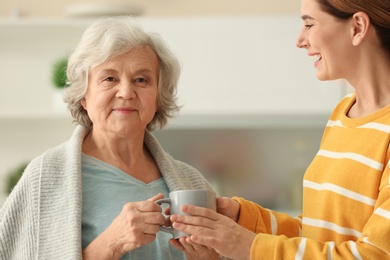Photo of Female caregiver and elderly woman with cup of tea in kitchen