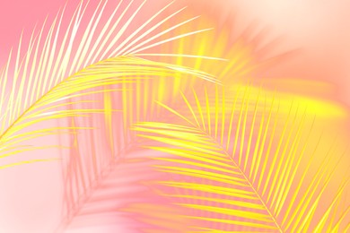 Image of Bright yellow palm branches and shadows on pink background, inverted color effect. Summer party