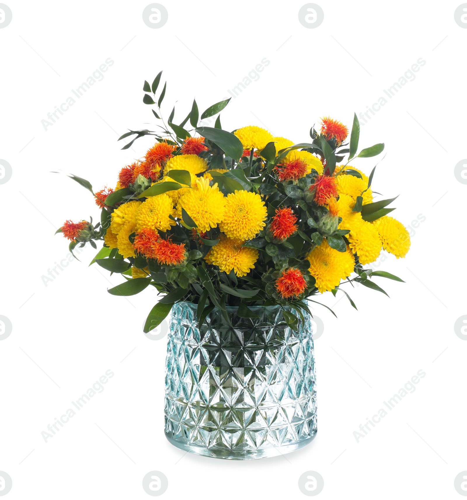 Photo of Vase with bouquet of beautiful aster flowers on white background