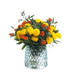 Vase with bouquet of beautiful aster flowers on white background